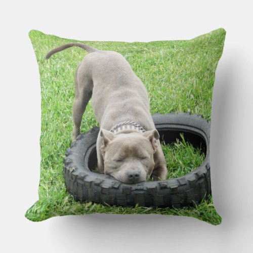 Blue Staffordshire Bull Terrier Play Time Throw Pillow