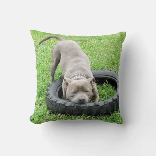Blue Staffordshire Bull Terrier Play Time. Throw Pillow (Front)