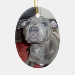 staffy dog ornaments