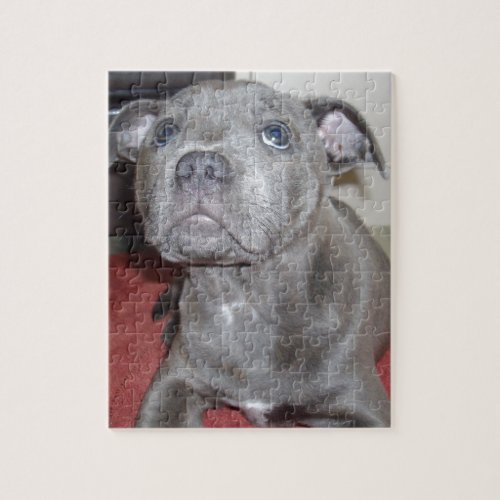 Blue Staffordshire Bull Terrier Puppy Jigsaw Puzzle