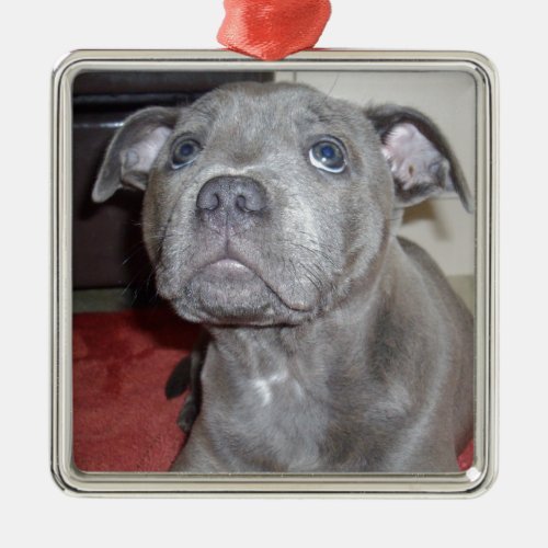 Blue Staffordshire Bull Terrier Puppy Metal Ornament