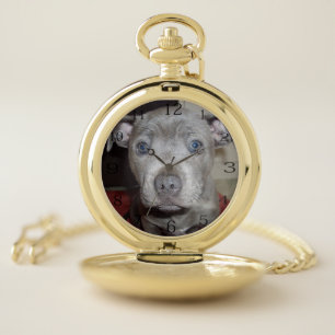 Blue Staffordshire Bull Terrier Puppy, Pocket Watch