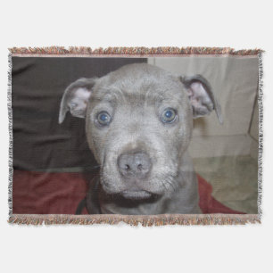 Blue Staffordshire Bull Terrier Puppy, Throw Blanket