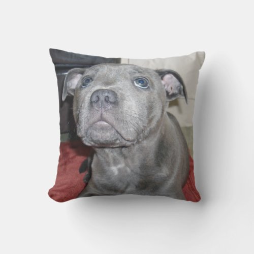 Blue Staffordshire Bull Terrier Puppy Throw Pillow