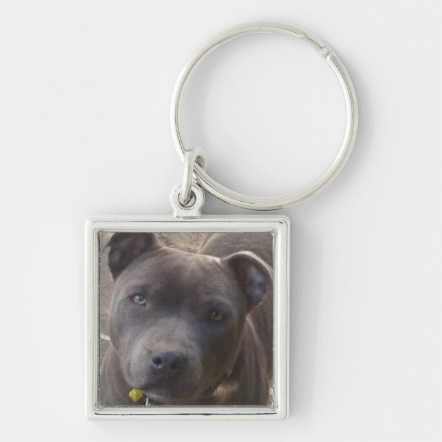Blue Staffy Keychain (Front)