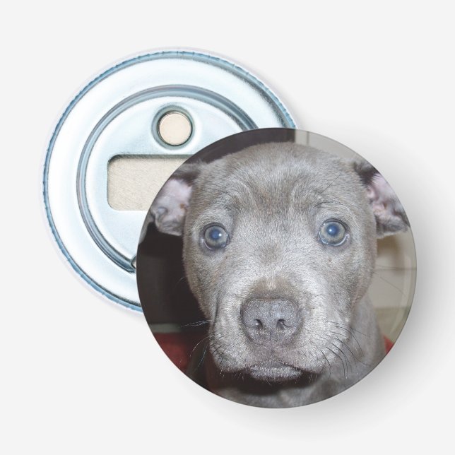 Blue Staffy Puppy Face, Magnetic Bottle Opener. Opener (Front)