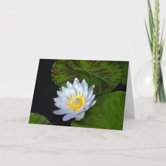 Blue Star Lotus Card