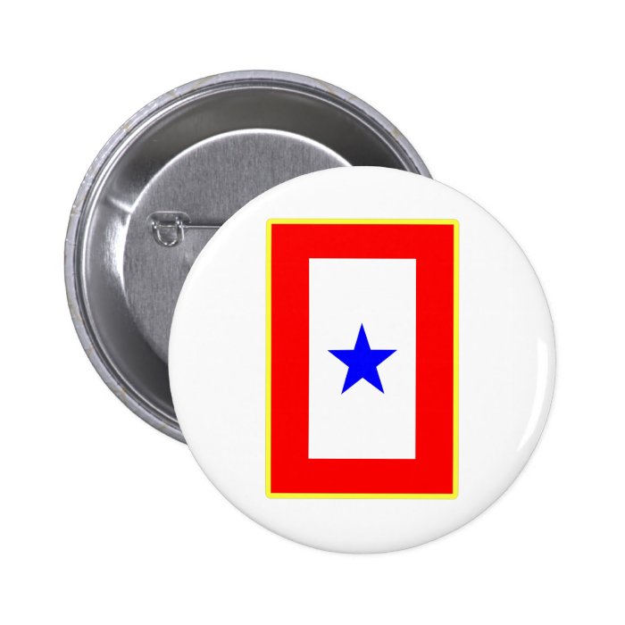 Blue Star Mother Pin