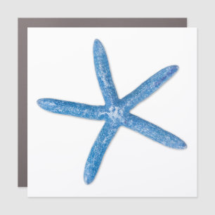 Blue Starfish Car Magnet