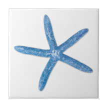 6-Inch 3dRose ct_76688_2 Contemporary Nautical Navy Blue and White Seashell and Starfish Pattern-Vintage Beach Seashells-Ceramic Tile 6-Inch 3dRose ct_76688_2 Contemporary Nautical Navy Blue and White Seashell and Starfish Pattern-Vintage Beach Seashells-Ceramic Tile