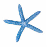 Blue Starfish Cutout<br><div class="desc">A single blue starfish on a white background</div>