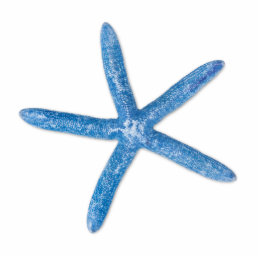Blue Starfish Cutout