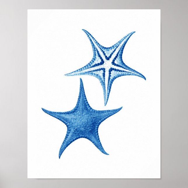 Blue Starfish no.3 beach wall decor (Front)