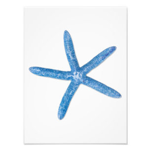 Blue Starfish Photo Print
