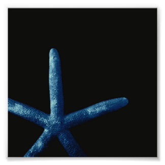 Blue Starfish Photo Print