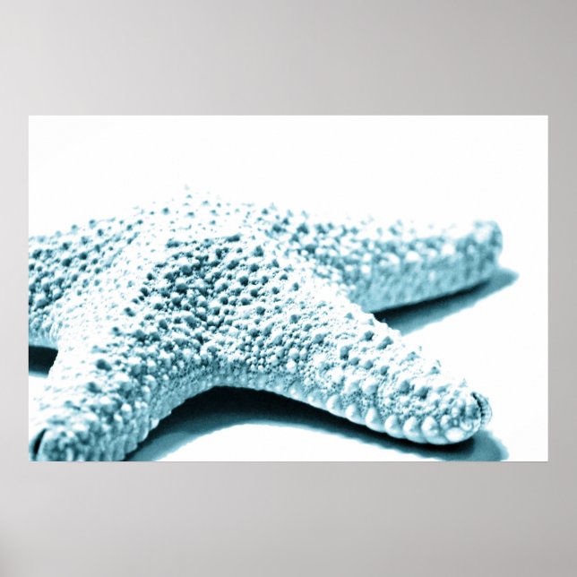 Blue Starfish Poster (Front)