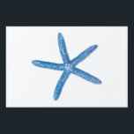 Blue Starfish Sign<br><div class="desc">A single blue starfish on a white background</div>