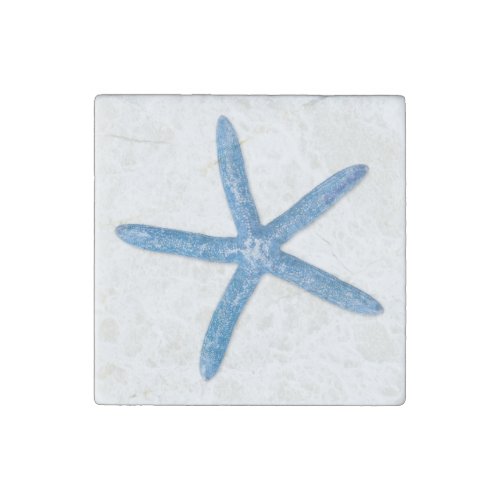 Blue Starfish Stone Magnet