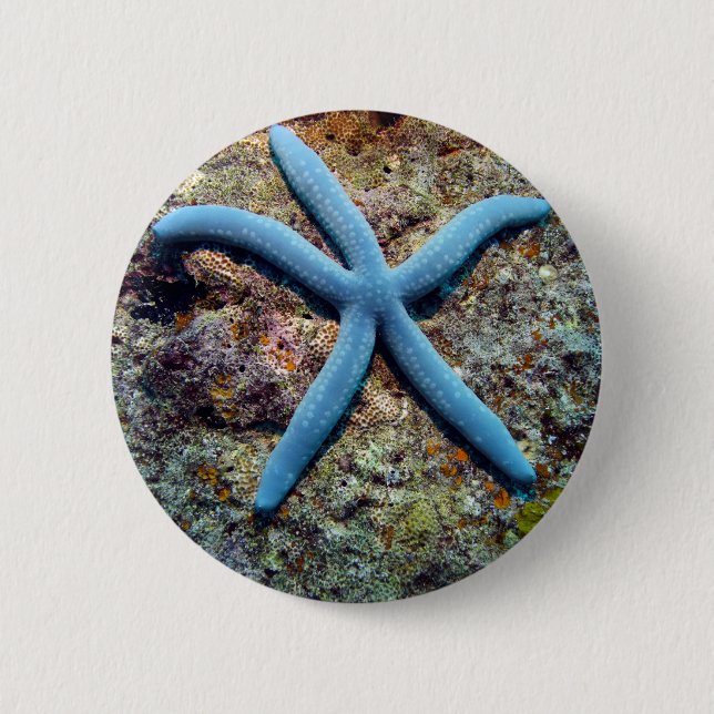 Blue starfish tropical ocean Raja Ampat Islands Pinback Button (Front)