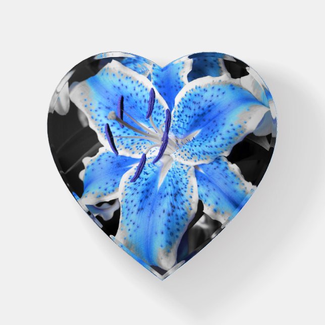 Blue Stargazer Paperweight (Front)