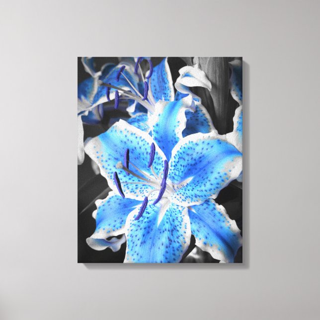 Blue Stargazer Wrapped Canvas Print (Front)