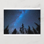 Blue Starry Night Postcard