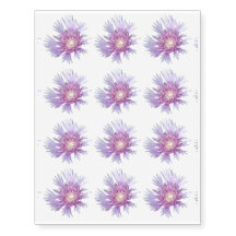 Blue Stokes Aster Flower Blossom
