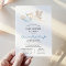 Blue Stork Baby Shower by Mail