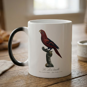 Blue-Streaked Lory, Trichoglossus reticulatus Color Morph Mug