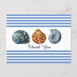 Blue Stripe with Sea Shells Postcard
