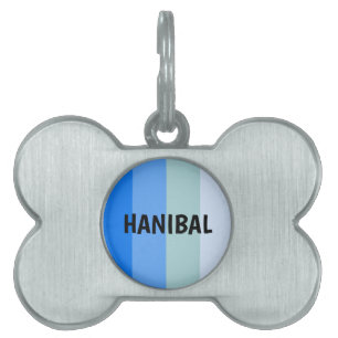 Blue Stripes Pet ID Tag