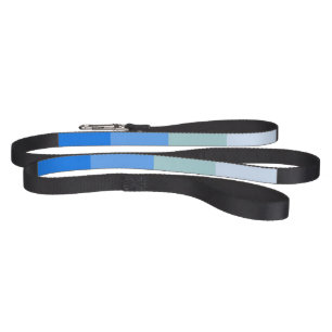 Blue Stripes Pet Leash