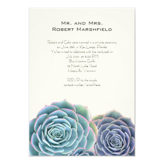 Blue Succulents Private Wedding Announcement