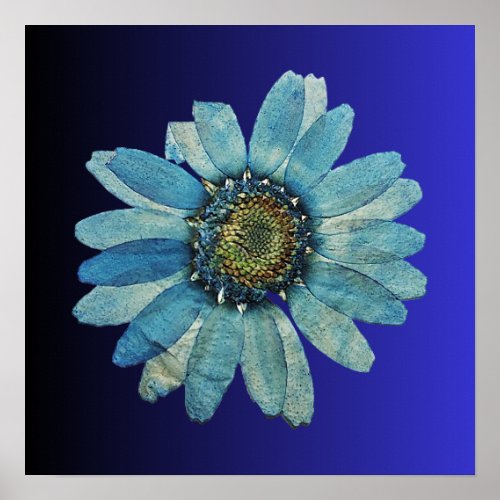  blue sunflower for wall poster