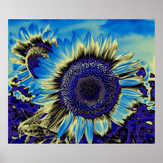 Blue Sunflower Poster (Front)