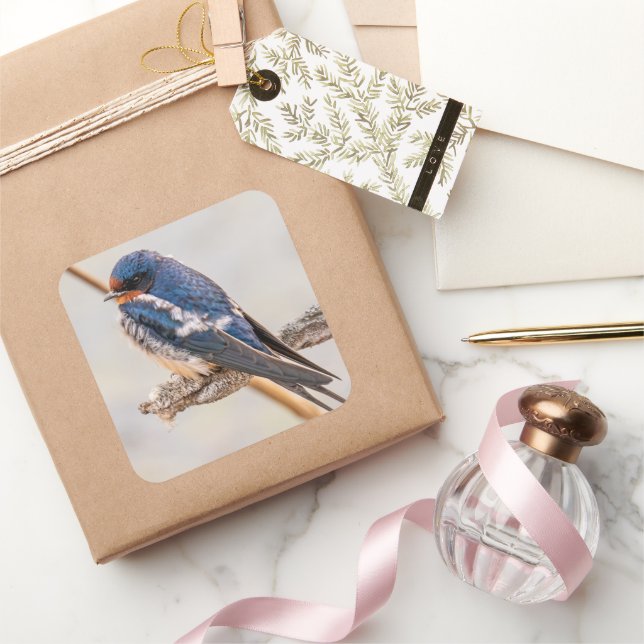 Blue Swallow on Branch Square Sticker (Gifting)