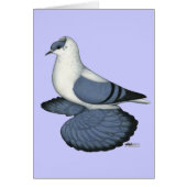 Blue Swallow Pigeon (Front)