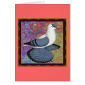 Blue Swallow Pigeon Framed (Front)