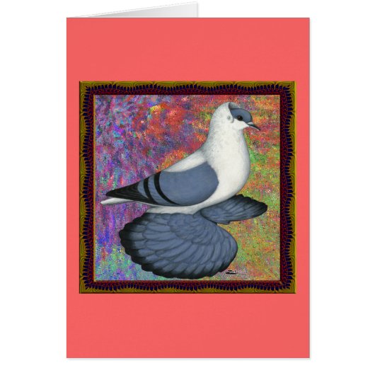 Blue Swallow Pigeon Framed Cards (Front)