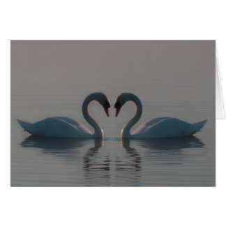 Blue Swans Must Be Love Blank Inside Cards