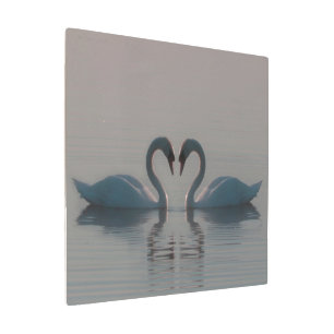Blue Swans Must Be Love Metal Print
