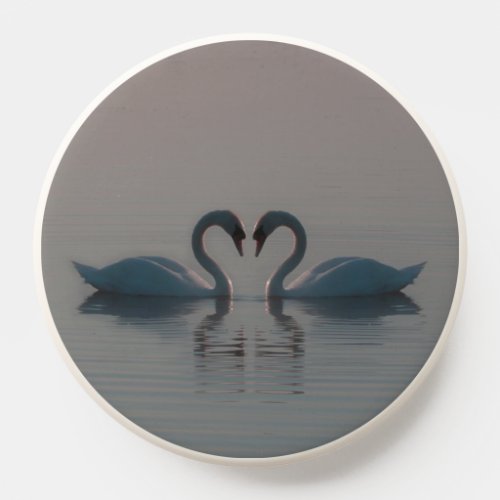 Blue Swans Must Be Love PopSocket