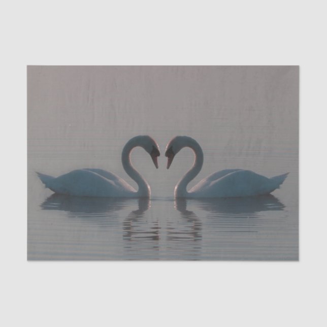 Blue Swans Must Be Love Tissue Paper (Front)