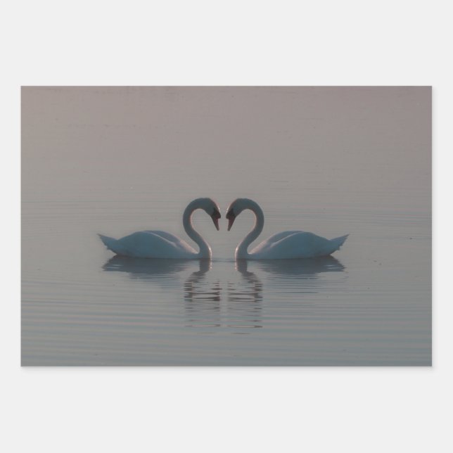 Blue Swans Must Be Love Wrapping Paper Sheets (Front)