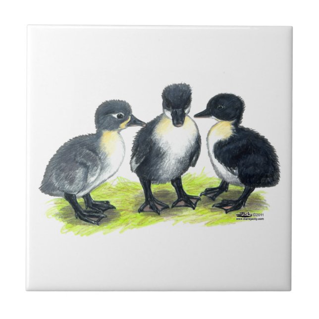 Blue Swedish Ducklings Tile (Front)