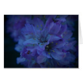 Blue Sweetheart. (Front Horizontal)