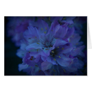 Blue Sweetheart. Cards