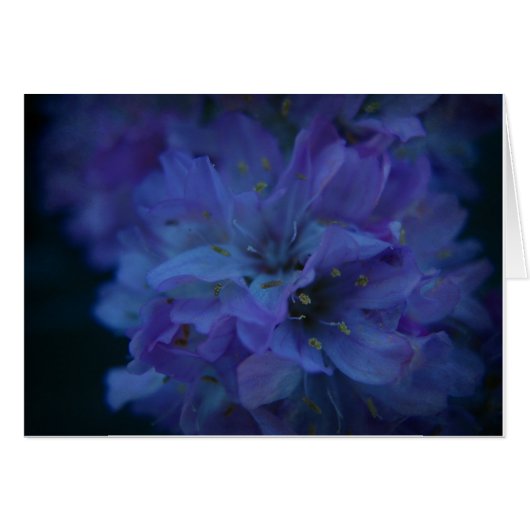 Blue Sweetheart. Cards (Front Horizontal)