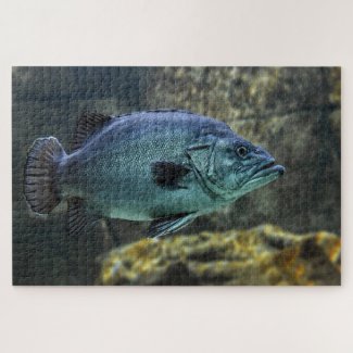 Blue swimming fish
