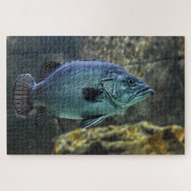 Blue swimming fish jigsaw puzzle (Horizontal)